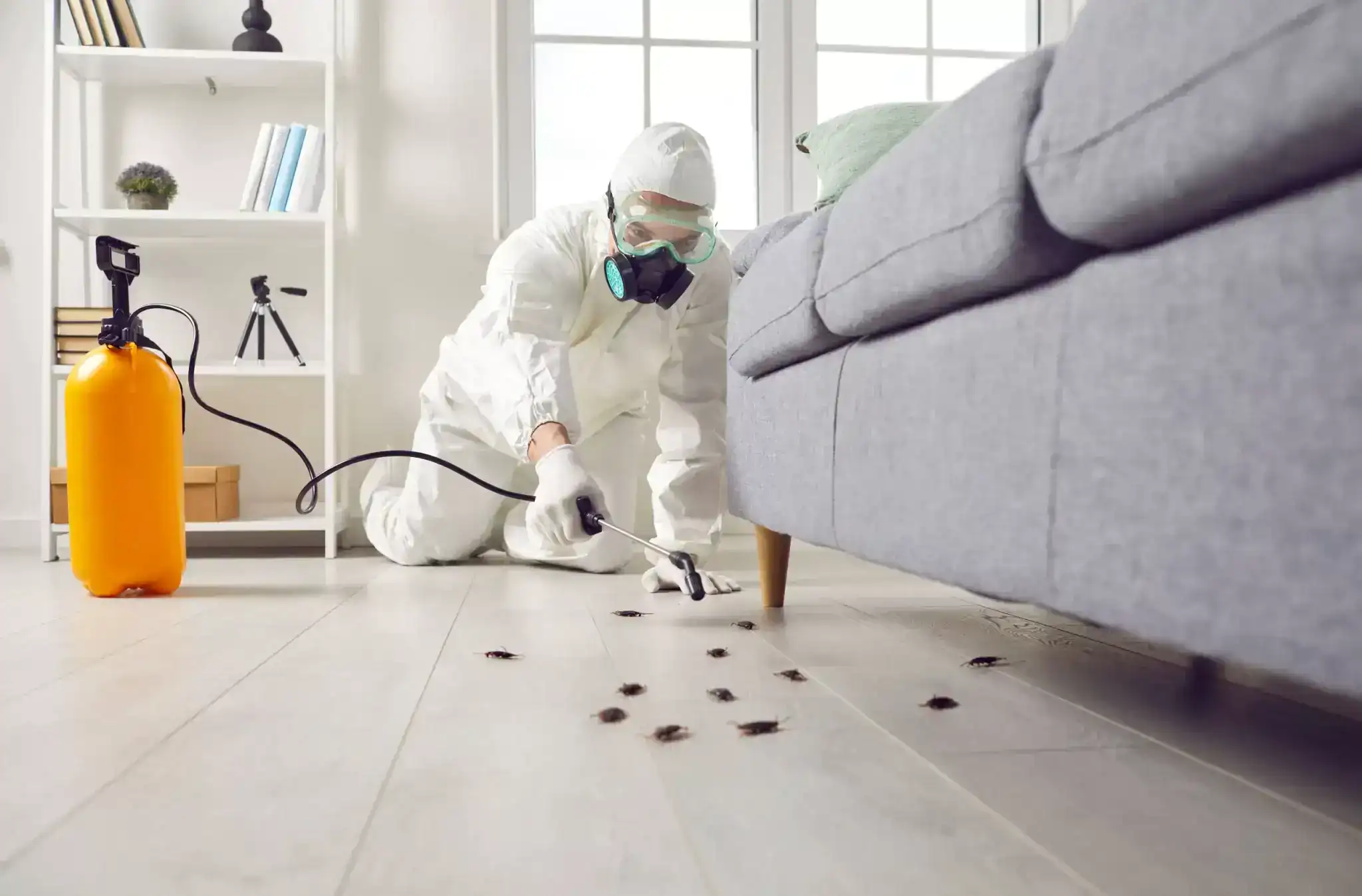 A person in protective gear sprays pesticide under a gray sofa, targeting cockroaches on a light wooden floor in a modern living room—expert pest control in Genesee County, MI.