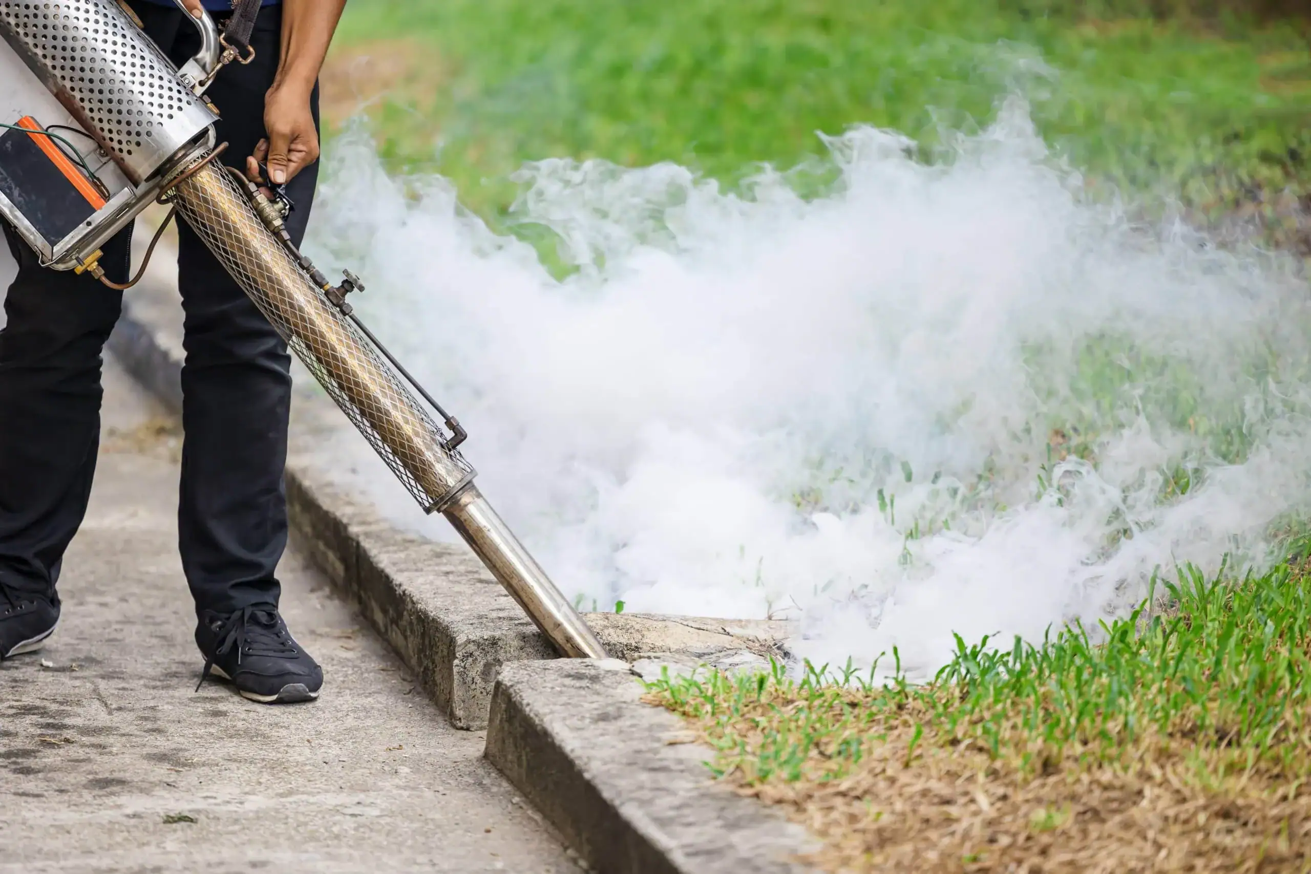 A person uses a fogging machine to spray insecticide, releasing white fog along the edge of a sidewalk near green grass. Only the lower half is visible—a common scene during pest control in Genesee County, MI.