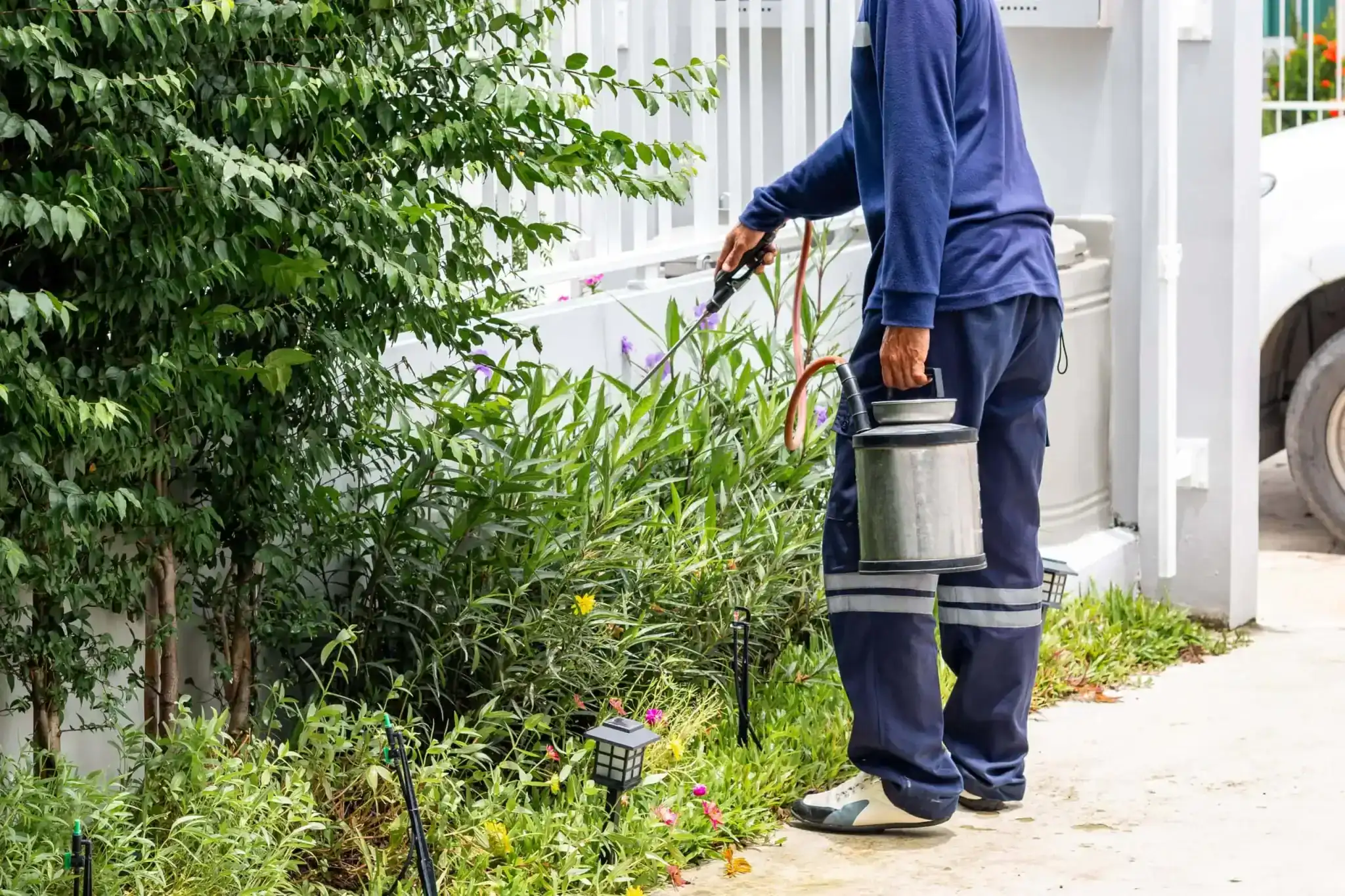 A person wearing blue clothing sprays plants in a garden with a hand-held metal sprayer, demonstrating pest control techniques. The scene is outdoors in Genesee County, MI, beside a white fence, with green bushes and blooming plants visible.
