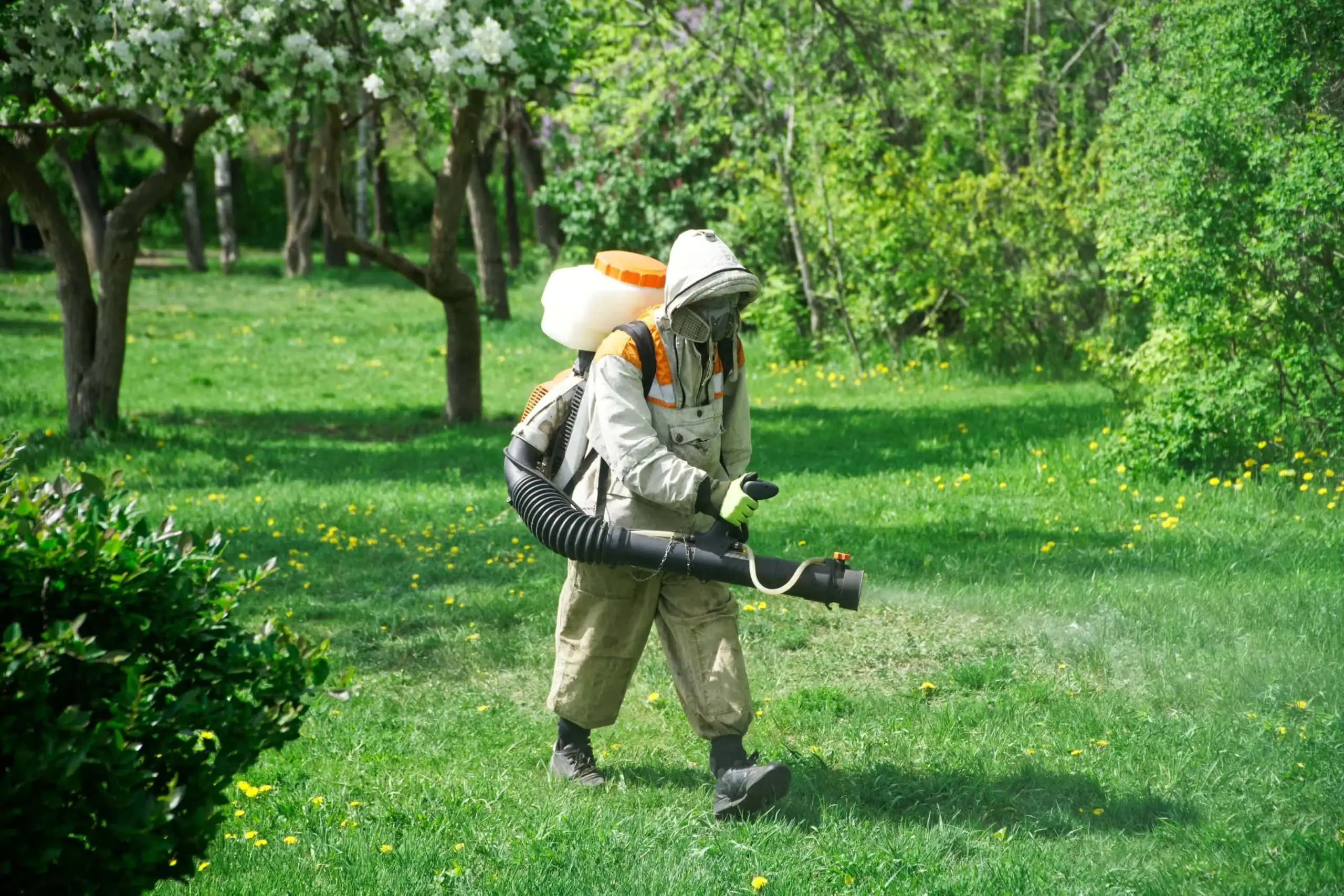 A person in protective gear sprays chemicals on green grass in a garden, surrounded by trees and bushes on a sunny day—professional pest control in Genesee County, MI, ensures your outdoor spaces stay healthy and pest-free.
